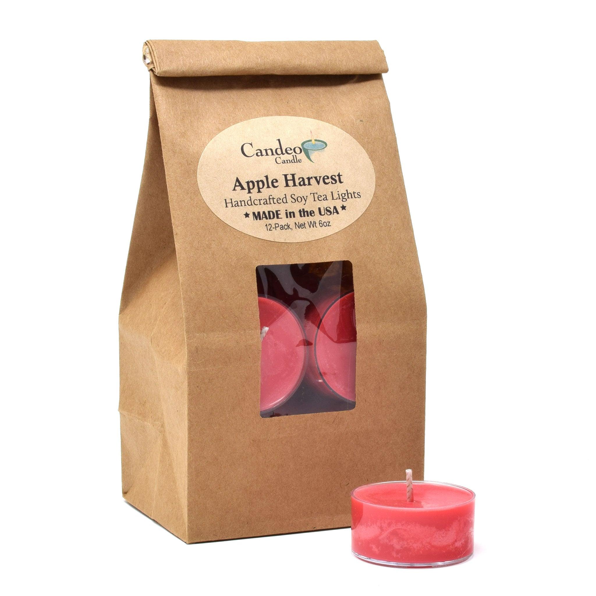 Apple Harvest, Soy Tea Light 12-Pack - Candeo Candle