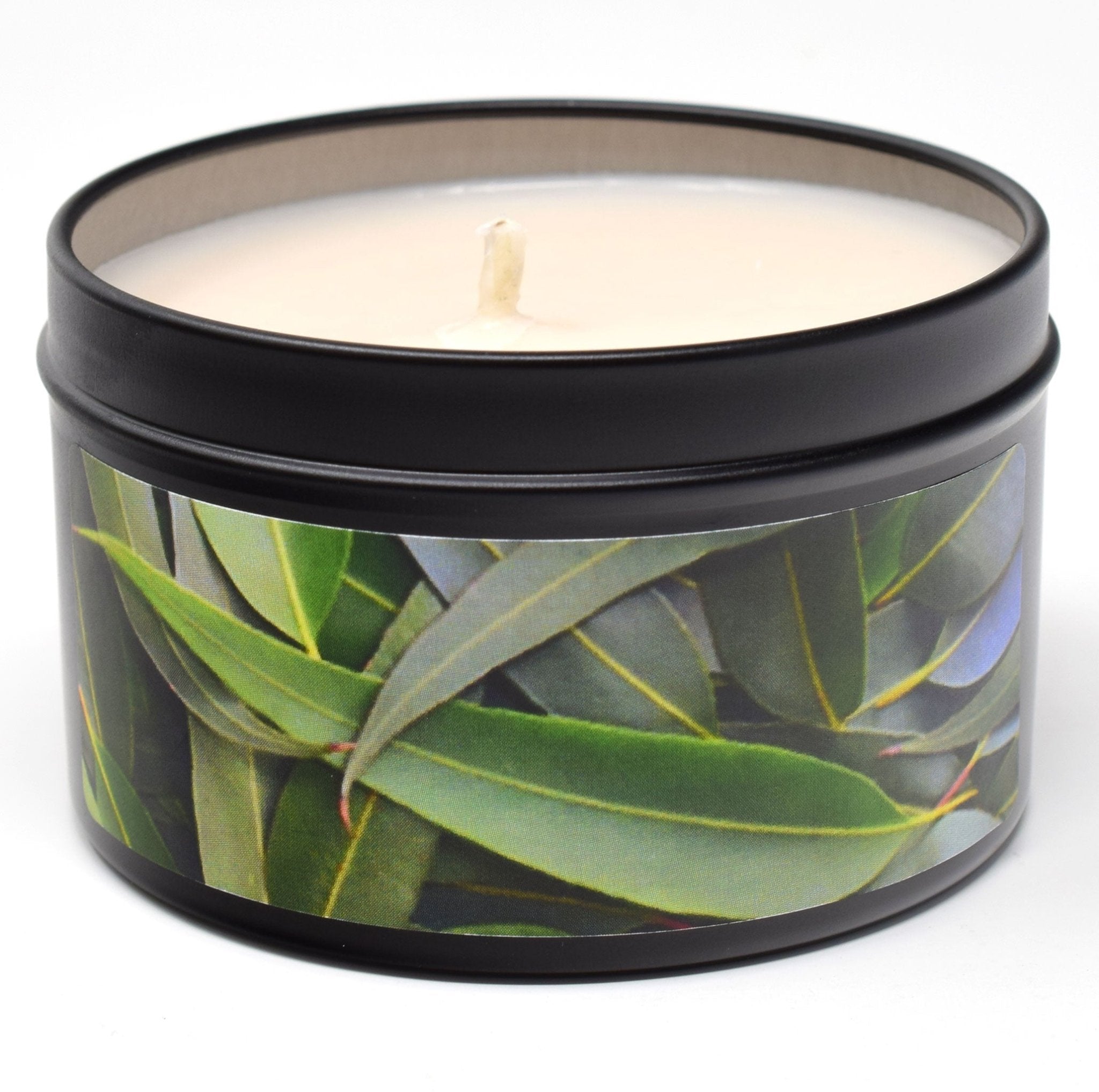 Eucalyptus Essential Oil, 6oz Soy Candle Tin - Candeo Candle