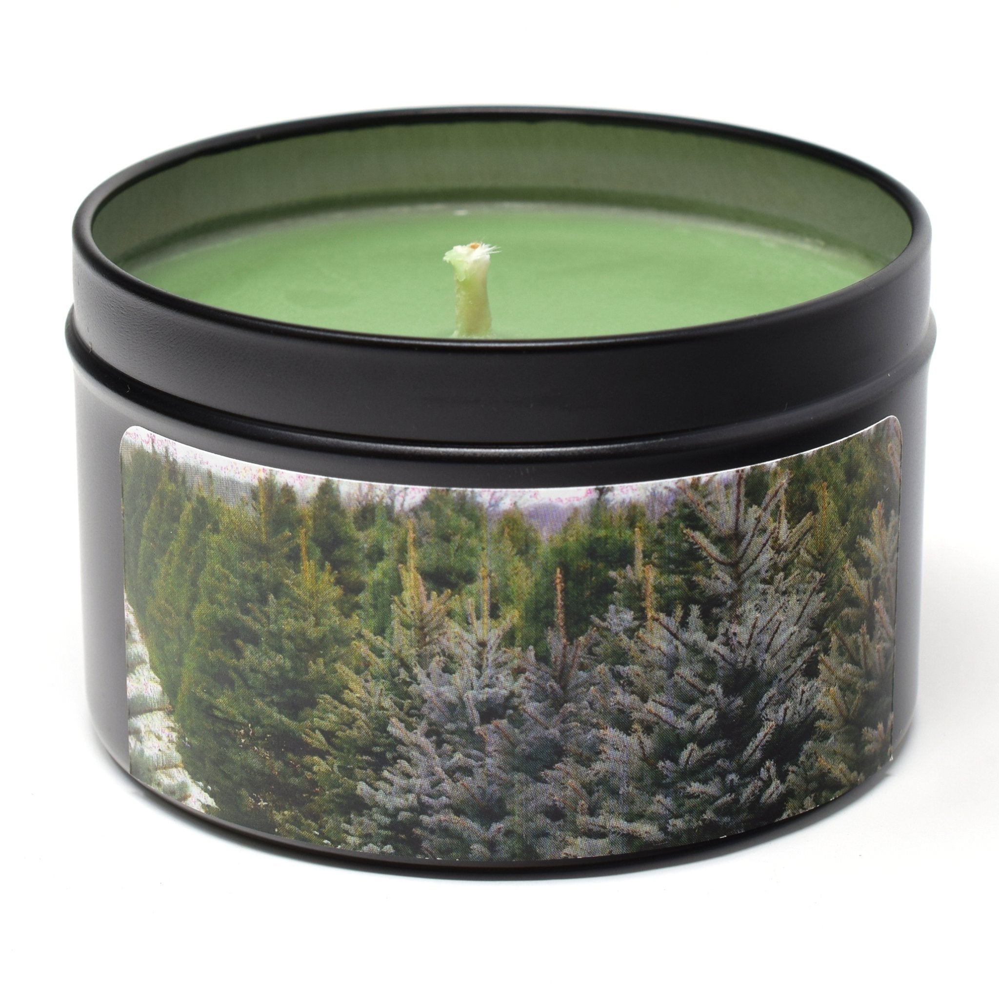 Fraser Fir, 6oz Soy Candle Tin - Candeo Candle