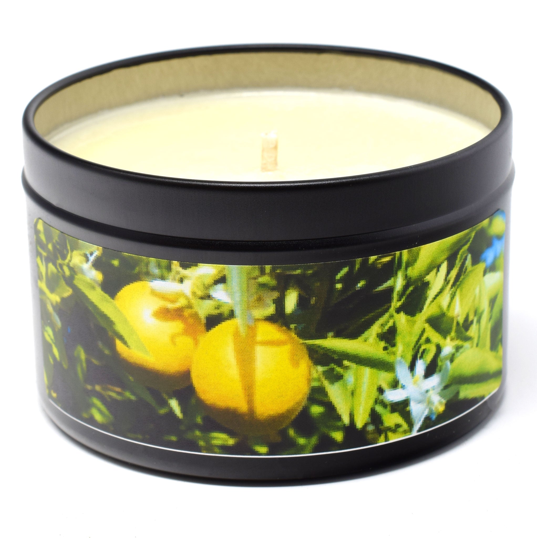 Orange Blossom, 6oz Soy Candle Tin - Candeo Candle