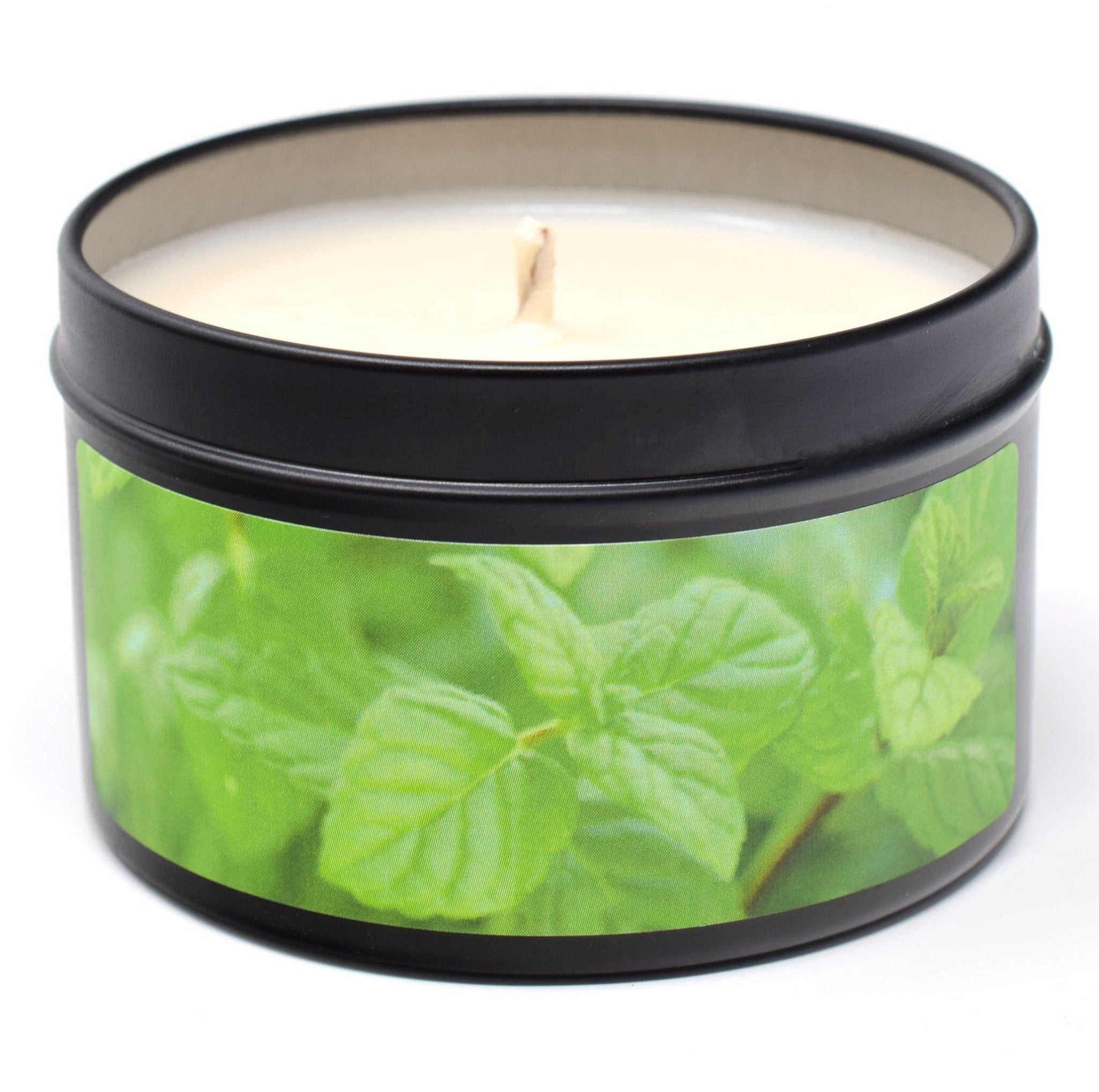 Peppermint Essential Oil, 6oz Soy Candle Tin - Candeo Candle