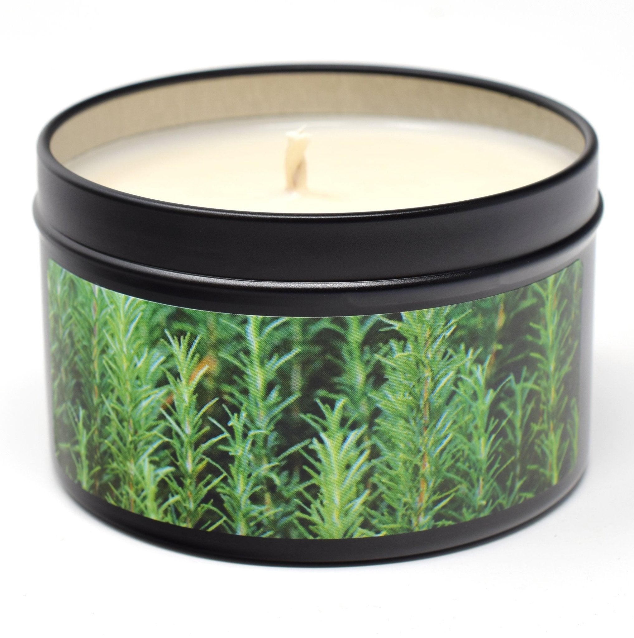 Rosemary Mint Essential Oil, 6oz Soy Candle Tin - Candeo Candle