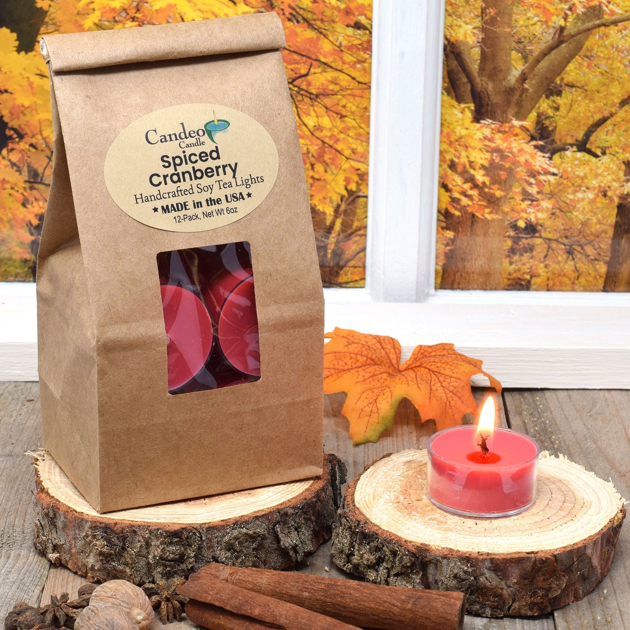 Spiced Cranberry, Soy Tea Light 12-Pack - Candeo Candle