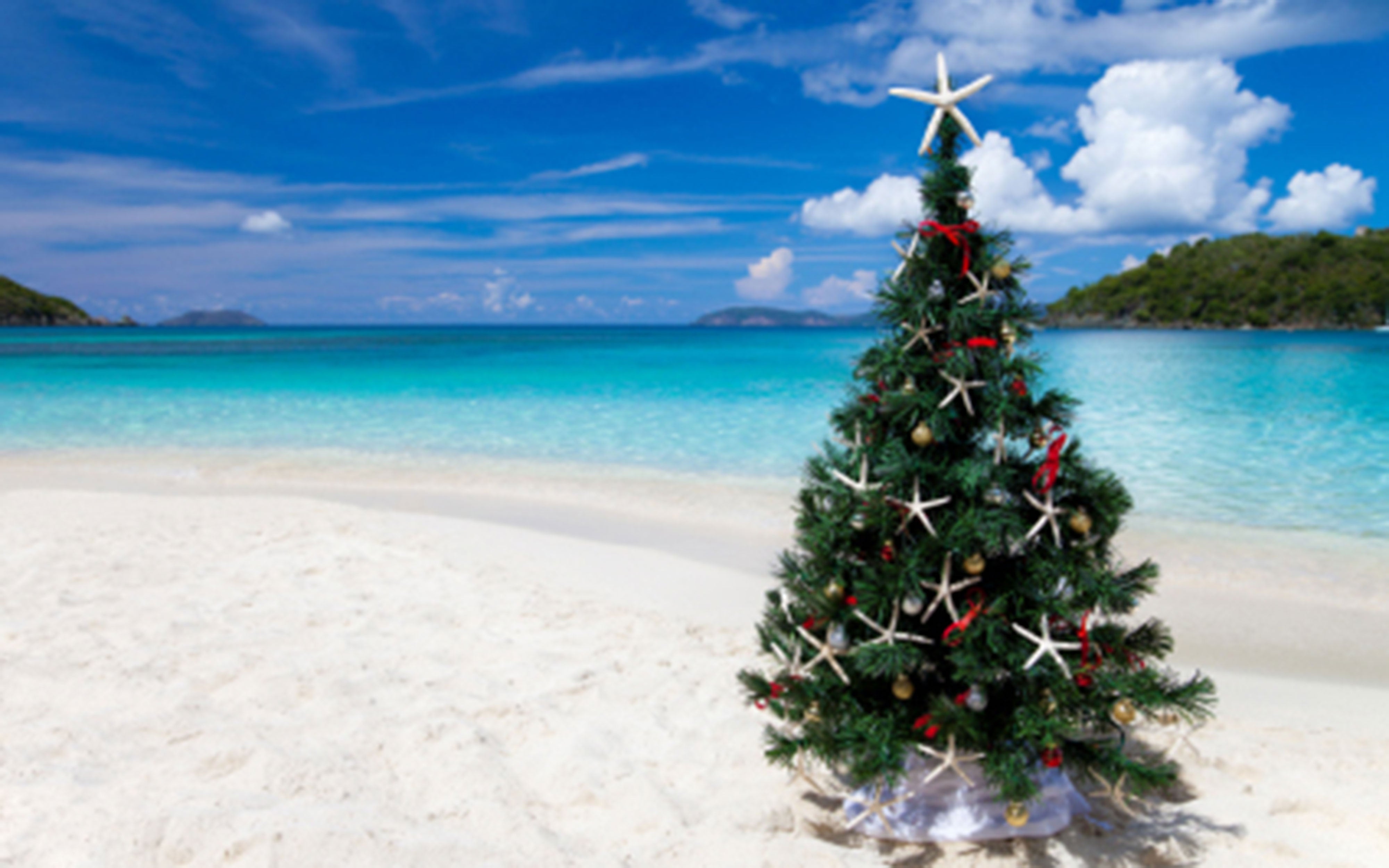 Mele Kalikimaka, 14oz Soy Candle Jar