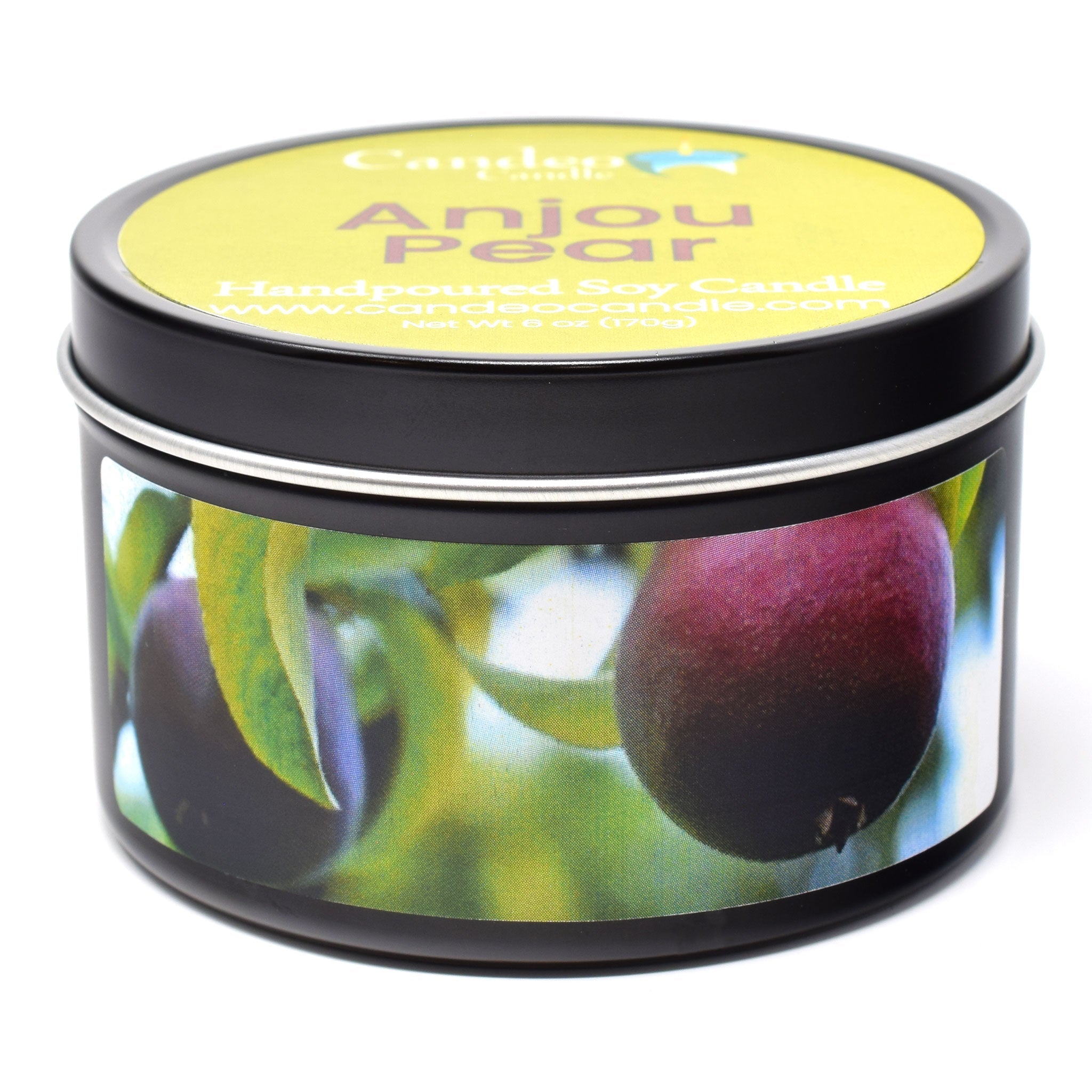 Anjou Pear, 6oz Soy Candle Tin - Candeo Candle