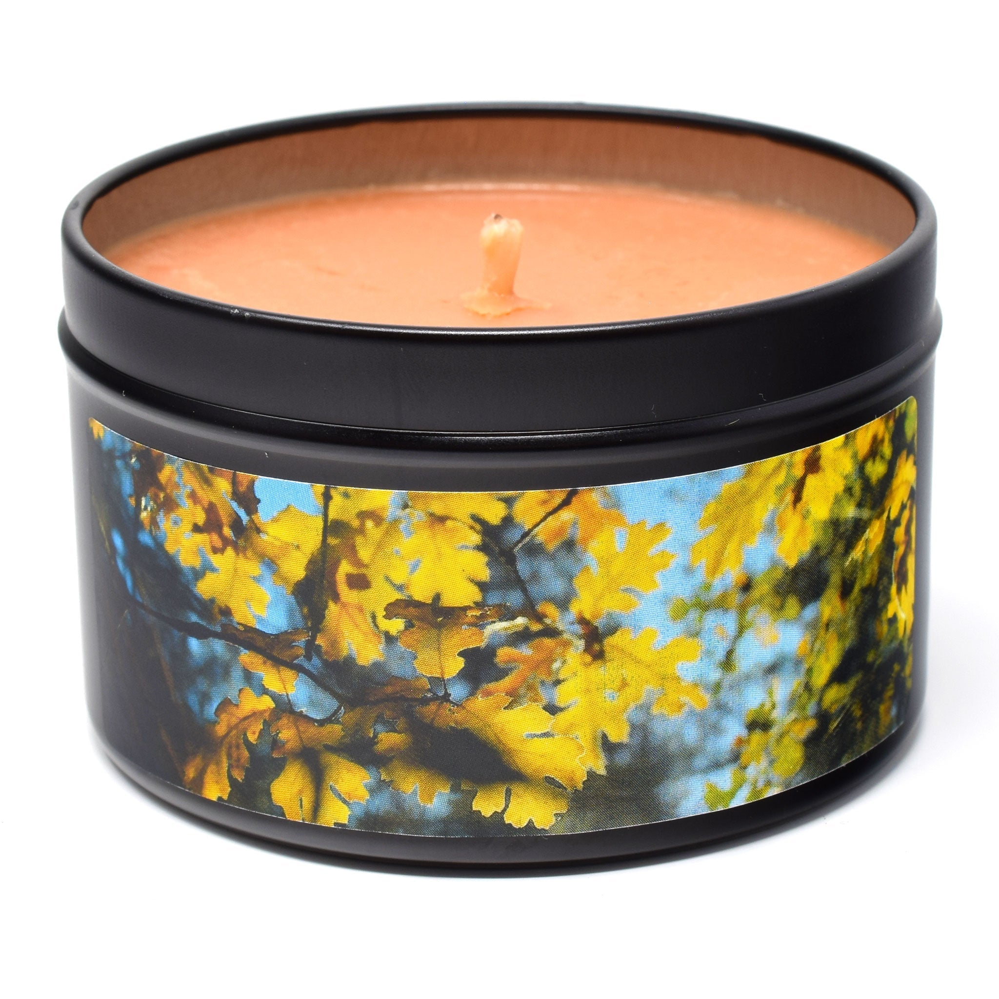 Fall Festival, 6oz Soy Candle Tin - Candeo Candle