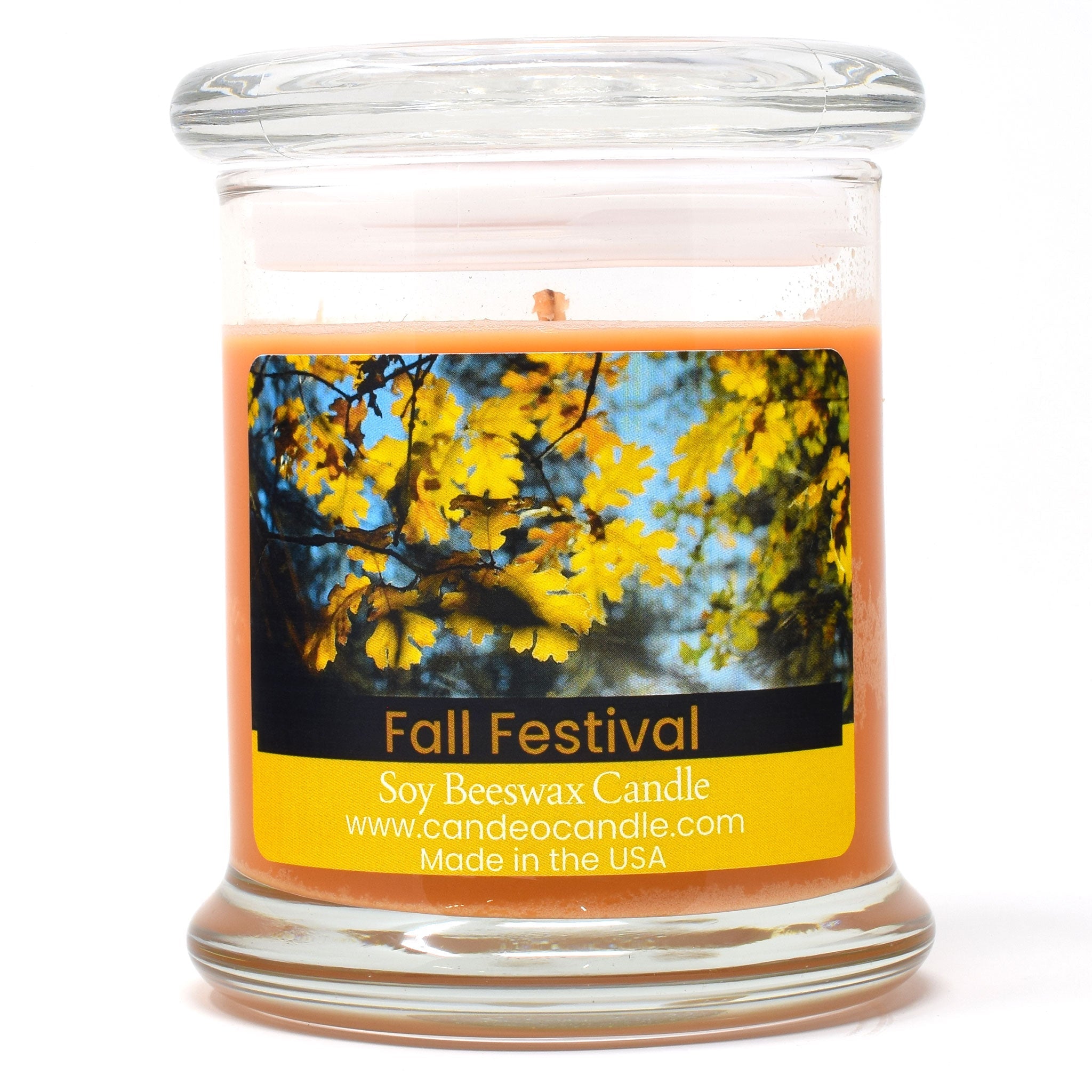 Fall Festival, 9oz Soy Candle Jar - Candeo Candle