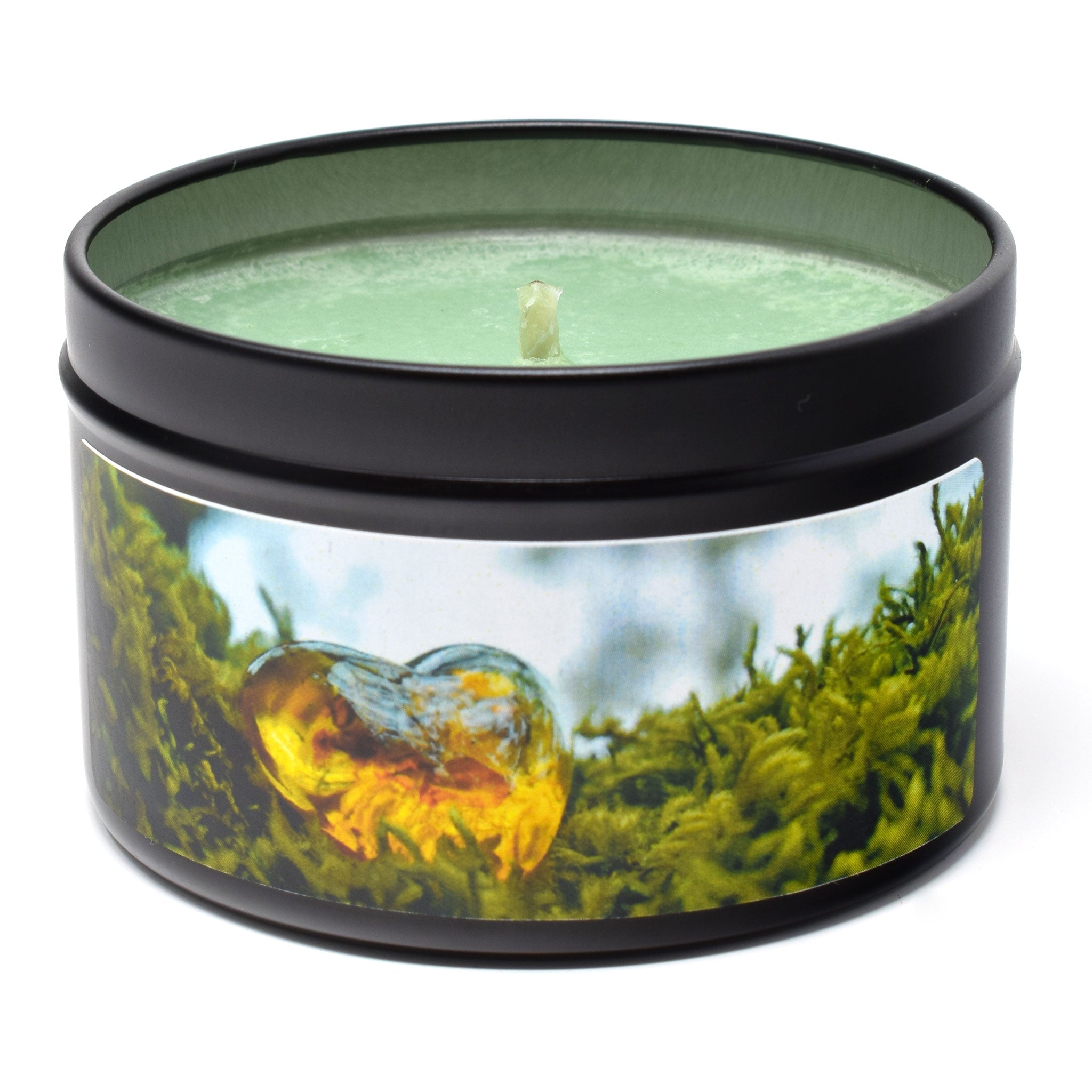 Oakmoss & Amber, 6oz Soy Candle Tin - Candeo Candle