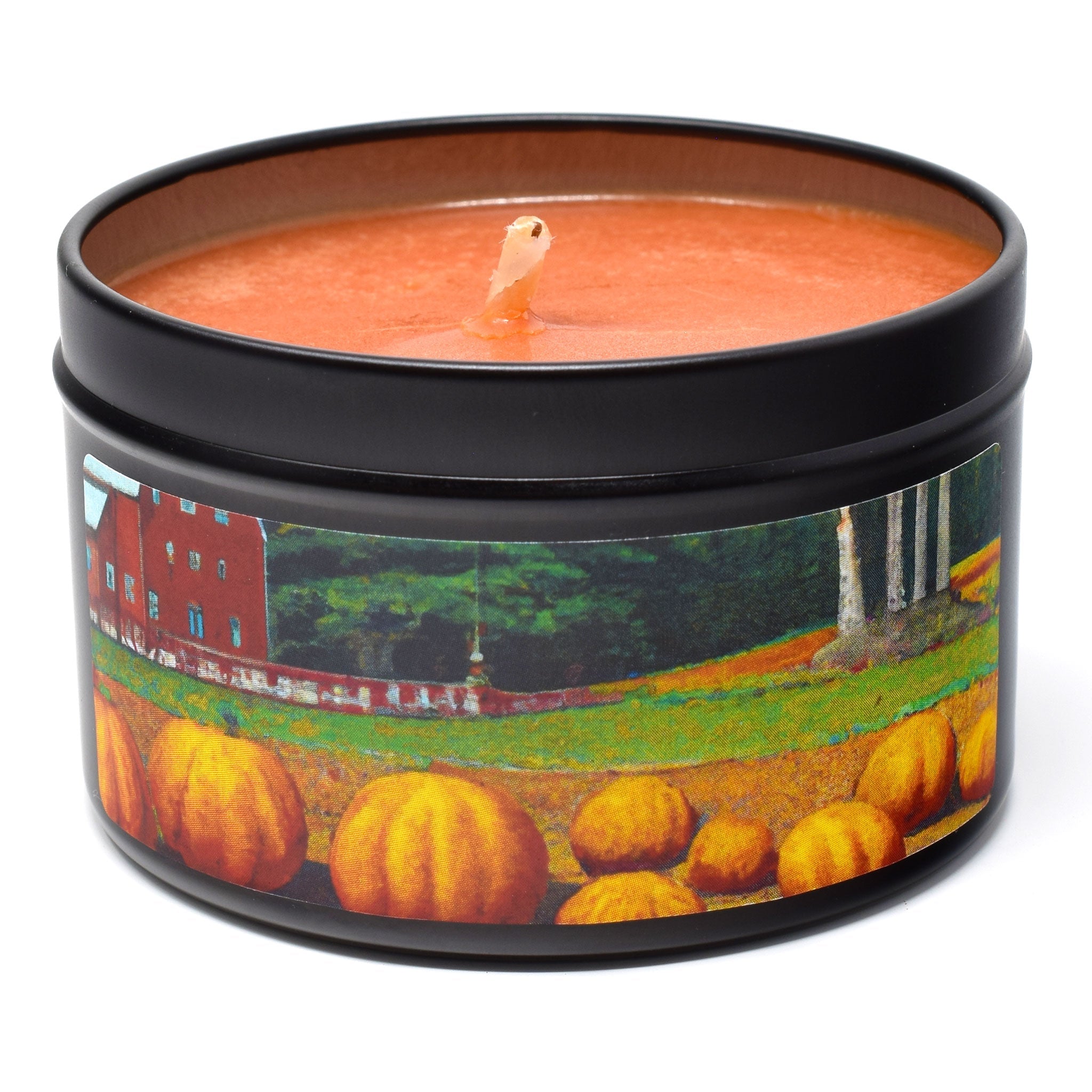 Pumpkin Patch, 6oz Soy Candle Tin - Candeo Candle