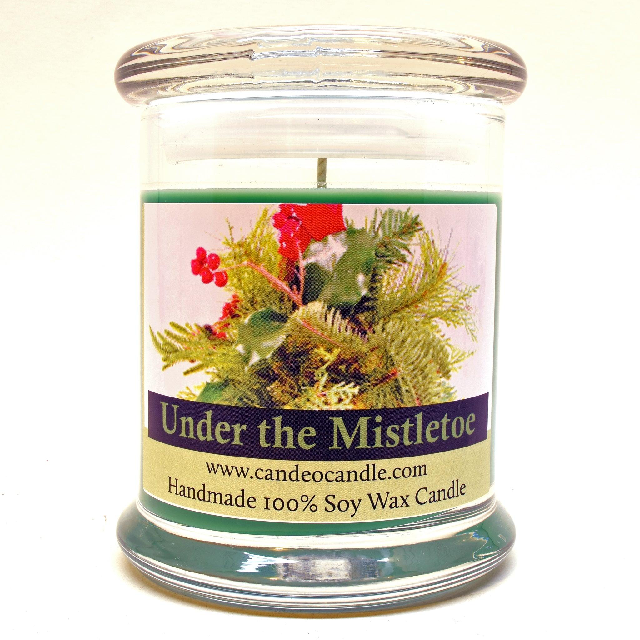 Under the Mistletoe, 9oz Soy Candle Jar - Candeo Candle