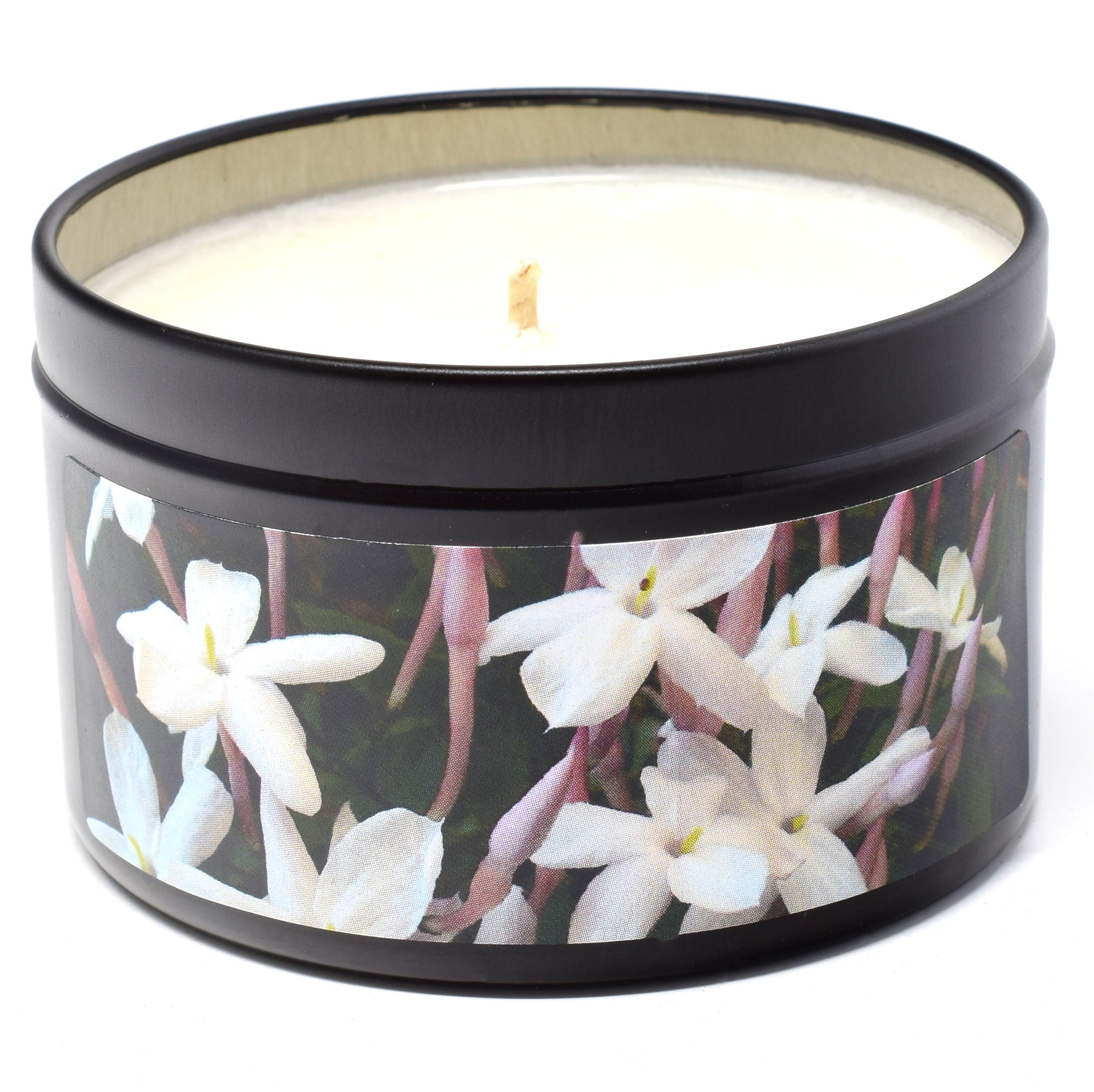 Wild Jasmine, 6oz Soy Candle Tin - Candeo Candle